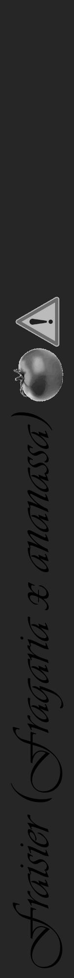 Étiquette de : Fragaria x ananassa - format a - style noire29viv avec comestibilité simplifiée - position verticale