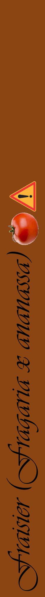 Étiquette de : Fragaria x ananassa - format a - style noire30viv avec comestibilité simplifiée