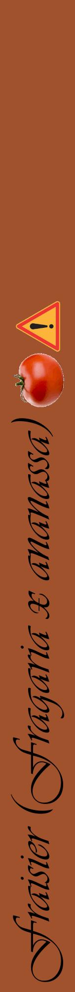 Étiquette de : Fragaria x ananassa - format a - style noire32viv avec comestibilité simplifiée