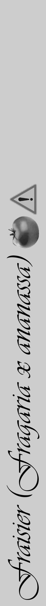 Étiquette de : Fragaria x ananassa - format a - style noire41viv avec comestibilité simplifiée - position verticale