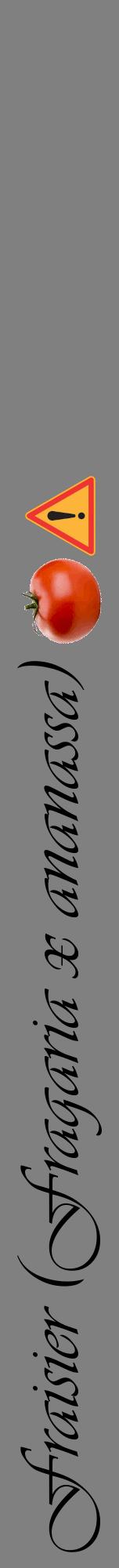 Étiquette de : Fragaria x ananassa - format a - style noire57viv avec comestibilité simplifiée