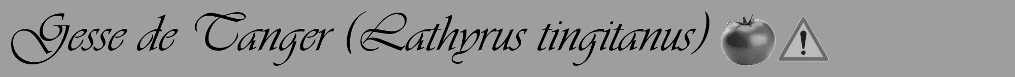 Étiquette de : Lathyrus tingitanus - format a - style noire23viv avec comestibilité simplifiée