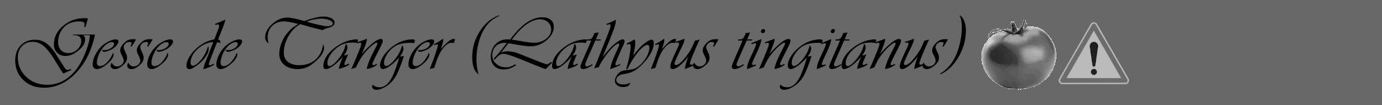 Étiquette de : Lathyrus tingitanus - format a - style noire6viv avec comestibilité simplifiée