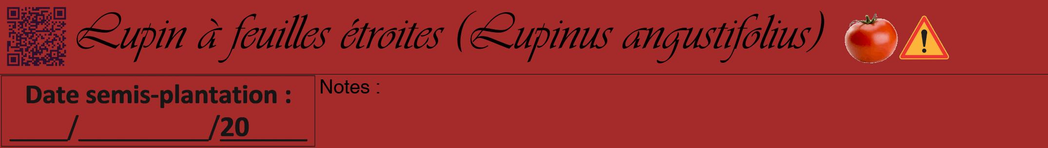 Étiquette de : Lupinus angustifolius - format a - style noire33viv avec qrcode et comestibilité simplifiée