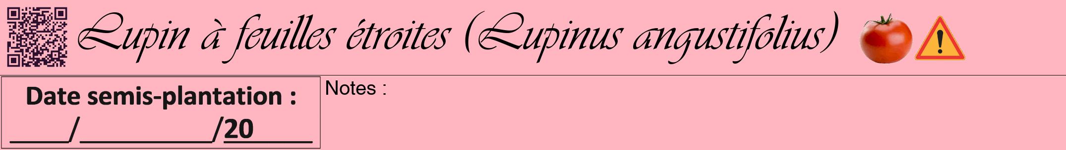 Étiquette de : Lupinus angustifolius - format a - style noire41viv avec qrcode et comestibilité simplifiée