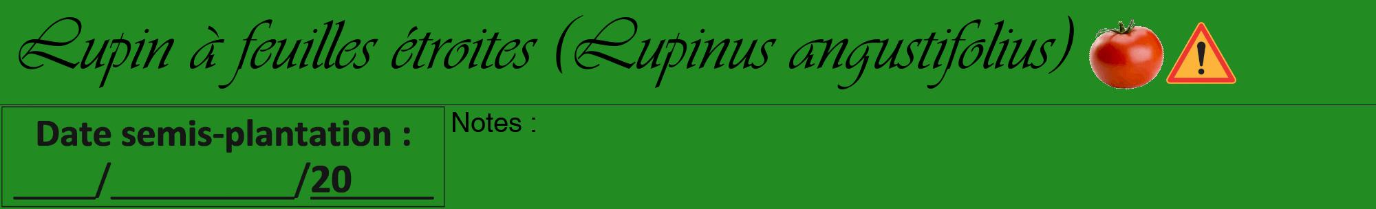 Étiquette de : Lupinus angustifolius - format a - style noire10viv avec comestibilité simplifiée