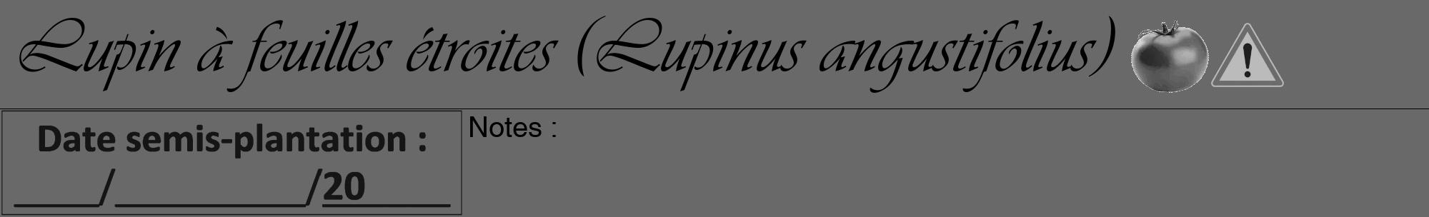 Étiquette de : Lupinus angustifolius - format a - style noire11viv avec comestibilité simplifiée