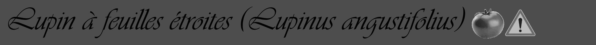Étiquette de : Lupinus angustifolius - format a - style noire28viv avec comestibilité simplifiée