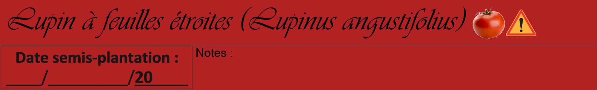 Étiquette de : Lupinus angustifolius - format a - style noire28viv avec comestibilité simplifiée