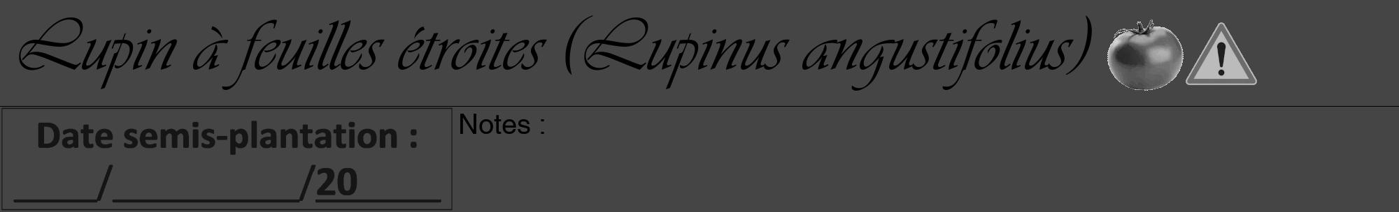 Étiquette de : Lupinus angustifolius - format a - style noire58viv avec comestibilité simplifiée