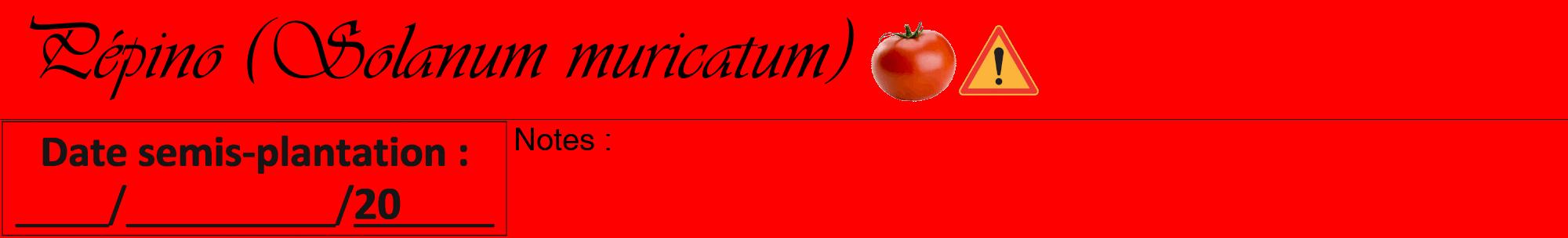 Étiquette de : Solanum muricatum - format a - style noire27viv avec comestibilité simplifiée