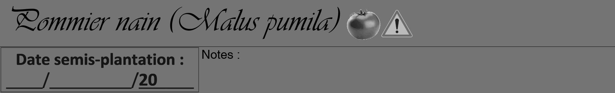 Étiquette de : Malus pumila - format a - style noire26basiqueviv avec comestibilité simplifiée