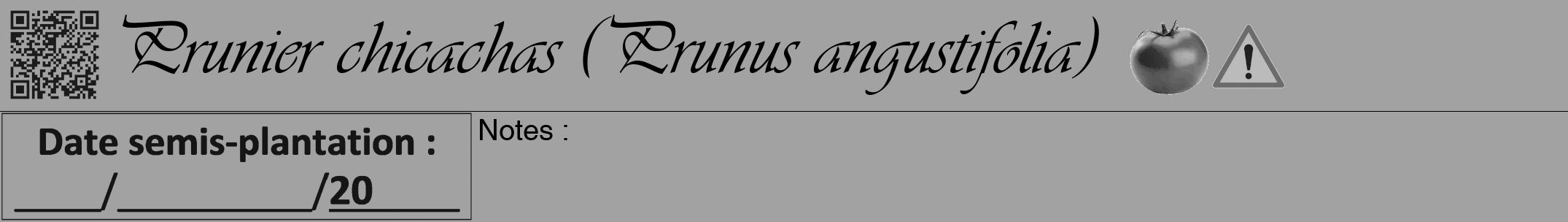 Étiquette de : Prunus angustifolia - format a - style noire38viv avec qrcode et comestibilité simplifiée