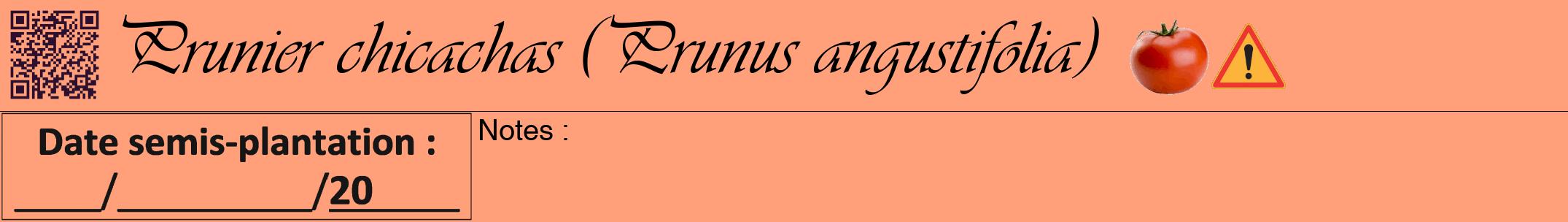 Étiquette de : Prunus angustifolia - format a - style noire39viv avec qrcode et comestibilité simplifiée