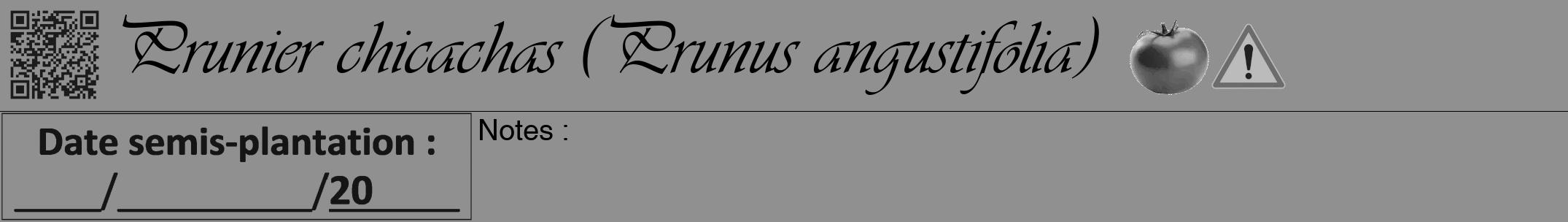 Étiquette de : Prunus angustifolia - format a - style noire4viv avec qrcode et comestibilité simplifiée