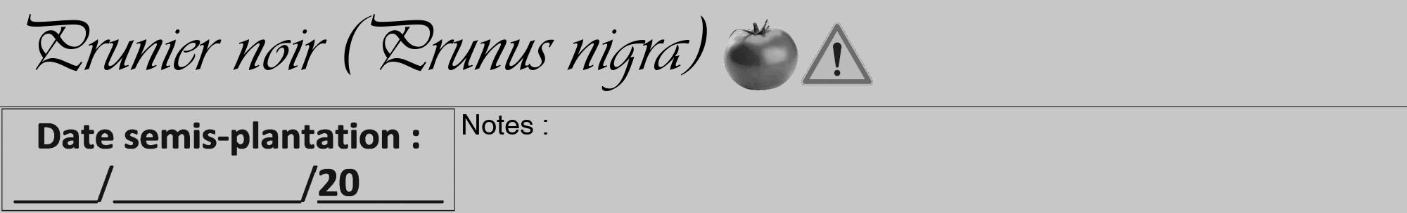 Étiquette de : Prunus nigra - format a - style noire15viv avec comestibilité simplifiée