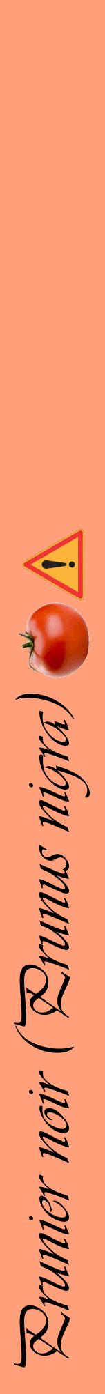 Étiquette de : Prunus nigra - format a - style noire39viv avec comestibilité simplifiée