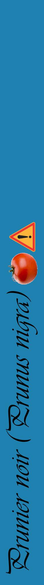 Étiquette de : Prunus nigra - format a - style noire6viv avec comestibilité simplifiée
