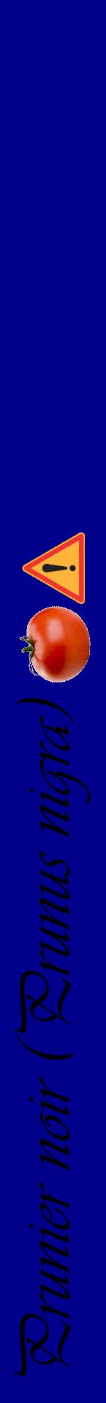 Étiquette de : Prunus nigra - format a - style noire7viv avec comestibilité simplifiée
