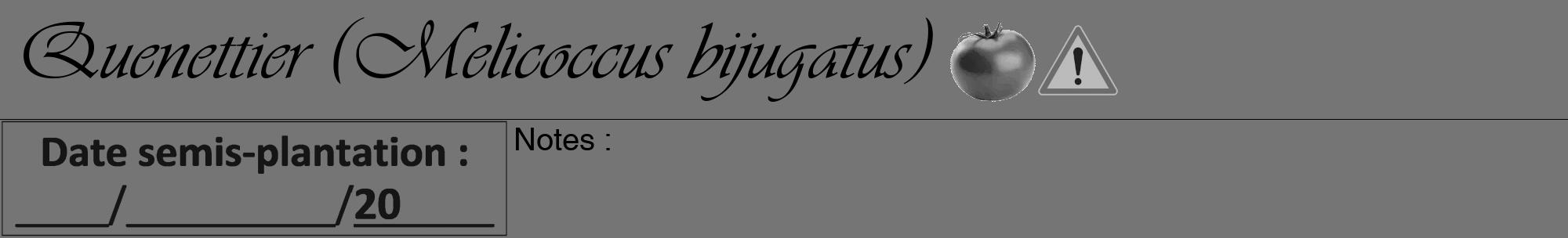 Étiquette de : Melicoccus bijugatus - format a - style noire5viv avec comestibilité simplifiée