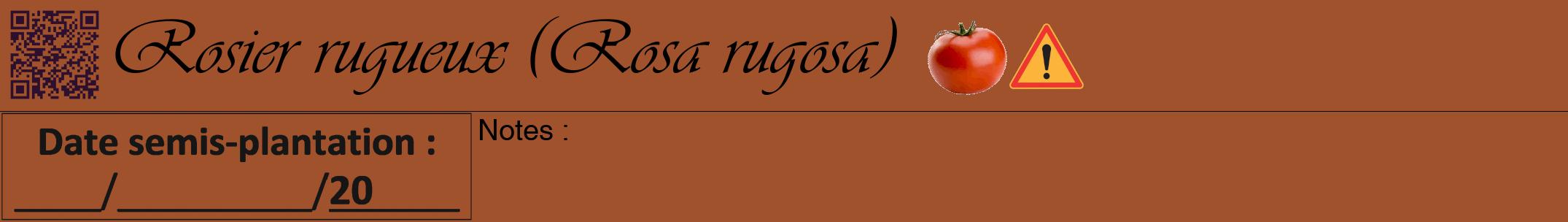 Étiquette de : Rosa rugosa - format a - style noire32viv avec qrcode et comestibilité simplifiée