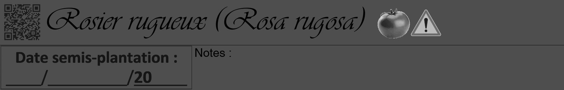 Étiquette de : Rosa rugosa - format a - style noire33basiqueviv avec qrcode et comestibilité simplifiée
