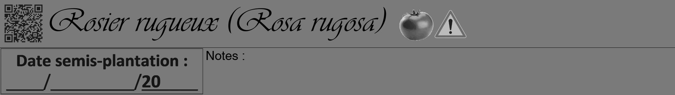Étiquette de : Rosa rugosa - format a - style noire3viv avec qrcode et comestibilité simplifiée