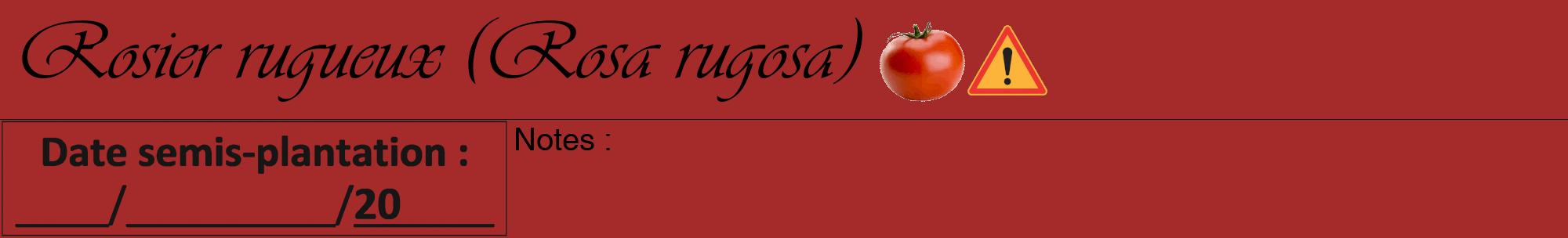 Étiquette de : Rosa rugosa - format a - style noire33basiqueviv avec comestibilité simplifiée