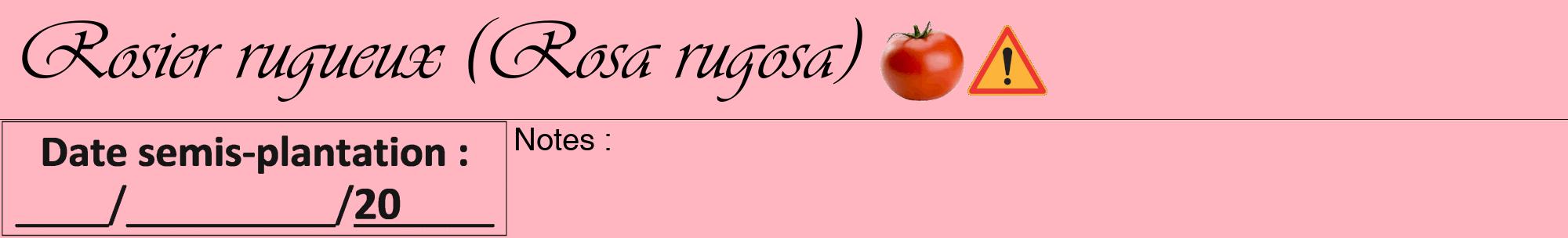 Étiquette de : Rosa rugosa - format a - style noire41viv avec comestibilité simplifiée
