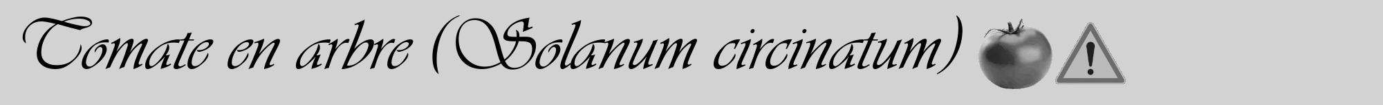 Étiquette de : Solanum circinatum - format a - style noire14viv avec comestibilité simplifiée