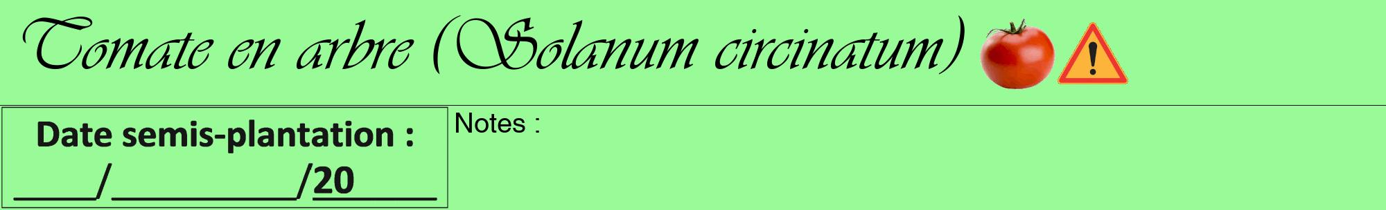 Étiquette de : Solanum circinatum - format a - style noire14viv avec comestibilité simplifiée