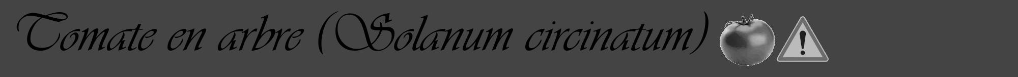 Étiquette de : Solanum circinatum - format a - style noire48viv avec comestibilité simplifiée