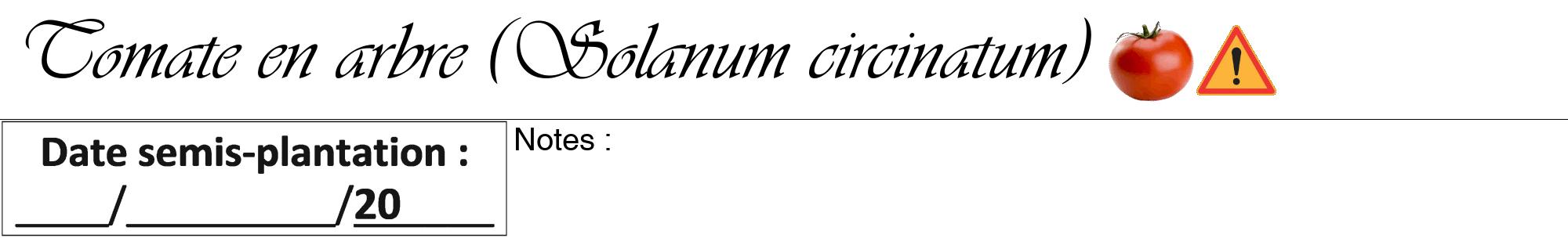 Étiquette de : Solanum circinatum - format a - style noire60viv avec comestibilité simplifiée