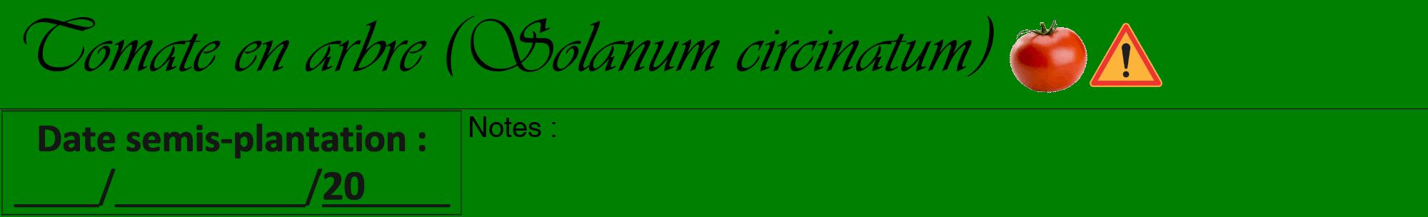 Étiquette de : Solanum circinatum - format a - style noire9viv avec comestibilité simplifiée