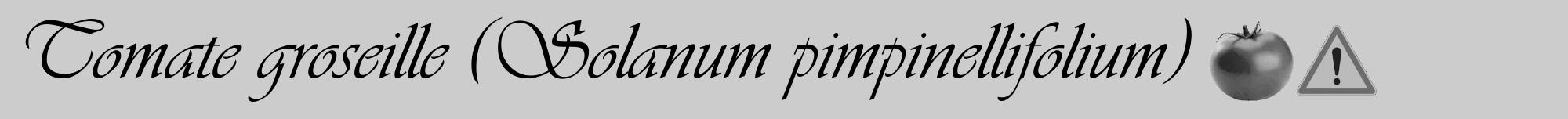 Étiquette de : Solanum pimpinellifolium - format a - style noire0viv avec comestibilité simplifiée
