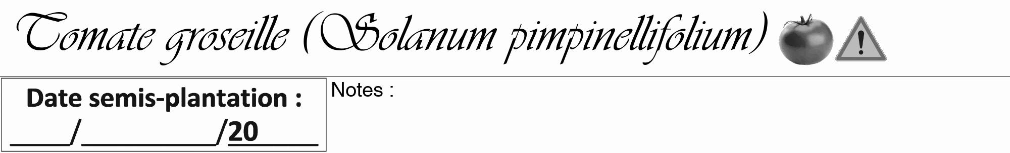 Étiquette de : Solanum pimpinellifolium - format a - style noire19viv avec comestibilité simplifiée