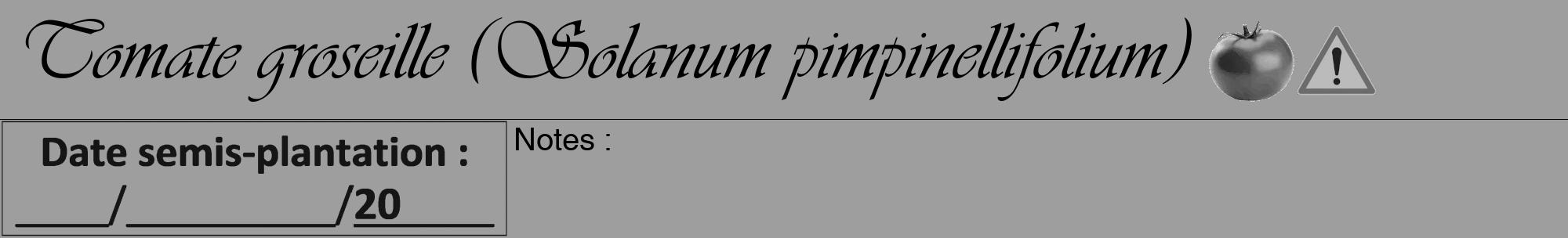 Étiquette de : Solanum pimpinellifolium - format a - style noire23basiqueviv avec comestibilité simplifiée