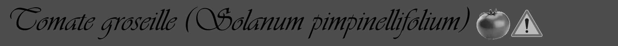 Étiquette de : Solanum pimpinellifolium - format a - style noire28viv avec comestibilité simplifiée