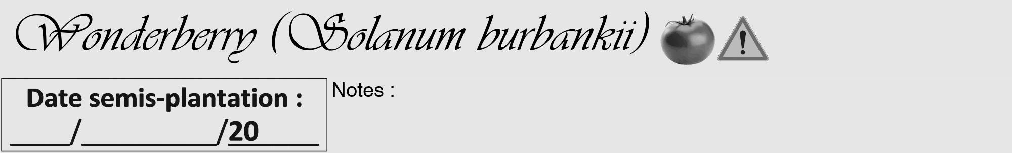 Étiquette de : Solanum burbankii - format a - style noire18viv avec comestibilité simplifiée