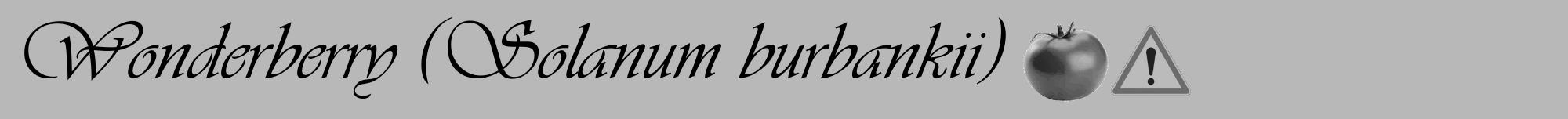 Étiquette de : Solanum burbankii - format a - style noire39viv avec comestibilité simplifiée