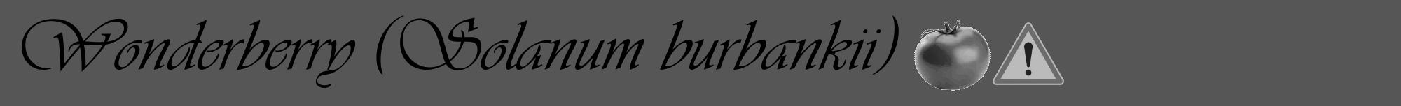 Étiquette de : Solanum burbankii - format a - style noire45viv avec comestibilité simplifiée