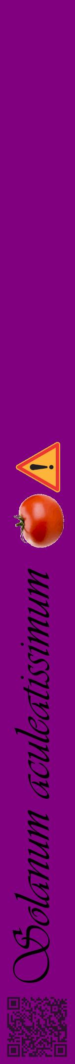 Étiquette de : Solanum aculeatissimum - format a - style noire46viv avec qrcode et comestibilité simplifiée