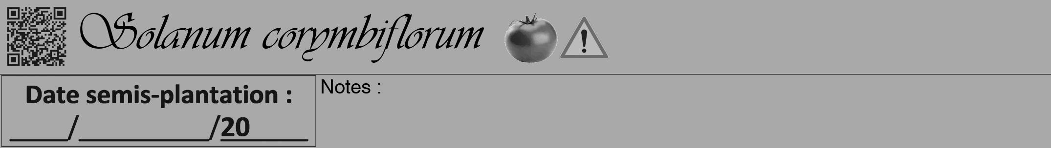 Étiquette de : Solanum corymbiflorum - format a - style noire13viv avec qrcode et comestibilité simplifiée