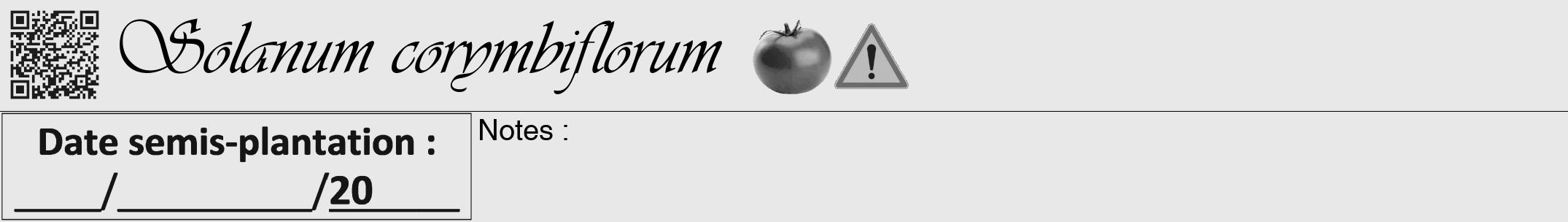 Étiquette de : Solanum corymbiflorum - format a - style noire55viv avec qrcode et comestibilité simplifiée