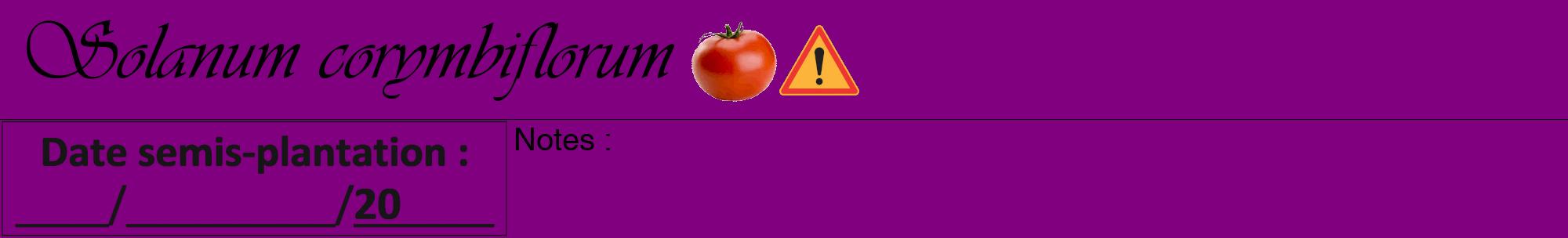 Étiquette de : Solanum corymbiflorum - format a - style noire46viv avec comestibilité simplifiée