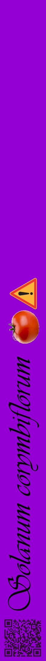Étiquette de : Solanum corymbiflorum - format a - style noire48viv avec qrcode et comestibilité simplifiée