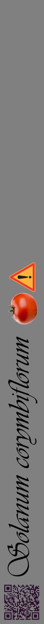 Étiquette de : Solanum corymbiflorum - format a - style noire57viv avec qrcode et comestibilité simplifiée