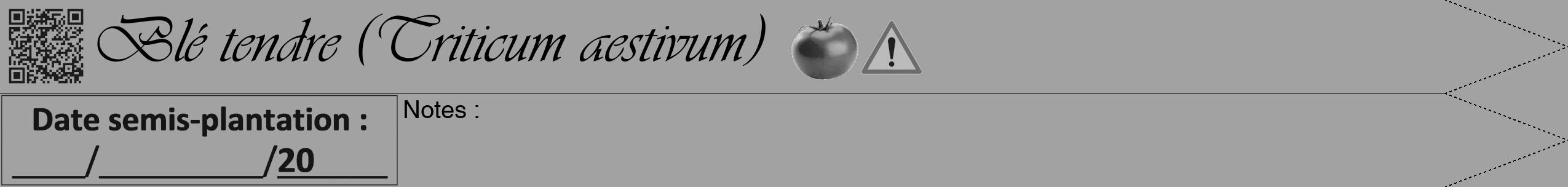 Étiquette de : Triticum aestivum - format b - style noire38viv avec qrcode et comestibilité simplifiée
