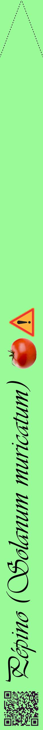 Étiquette de : Solanum muricatum - format b - style noire14viv avec qrcode et comestibilité simplifiée
