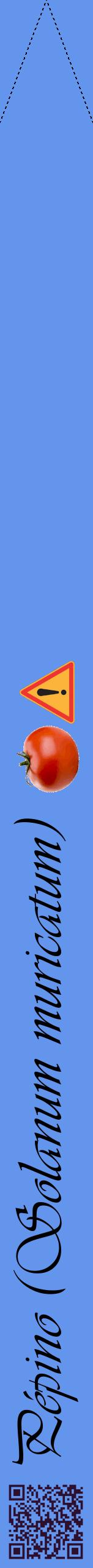 Étiquette de : Solanum muricatum - format b - style noire4viv avec qrcode et comestibilité simplifiée